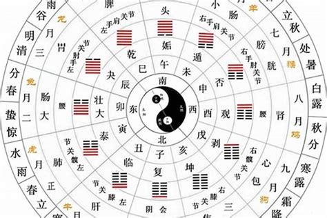 十二天干|天干地支（中国古代天文历法）